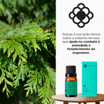 Óleo Essencial Puro de Cedro Moncloa 10ml