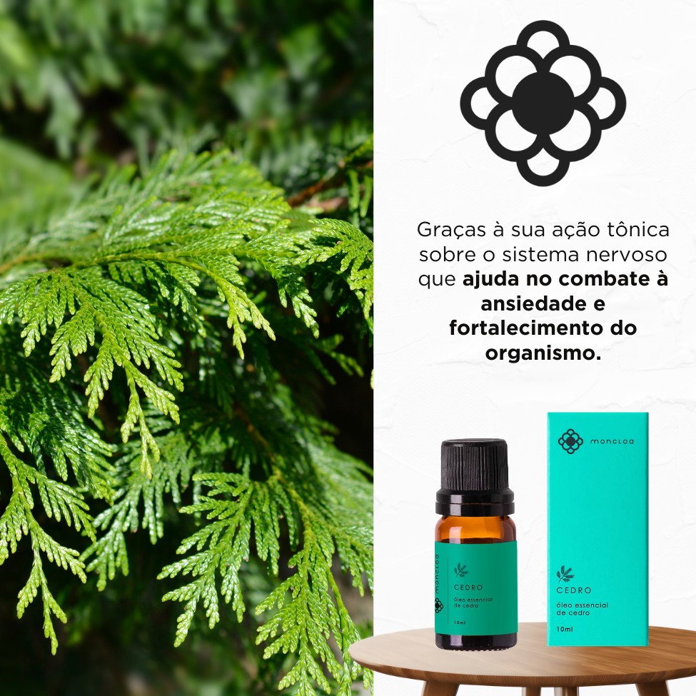 Óleo Essencial Puro de Cedro Moncloa 10ml