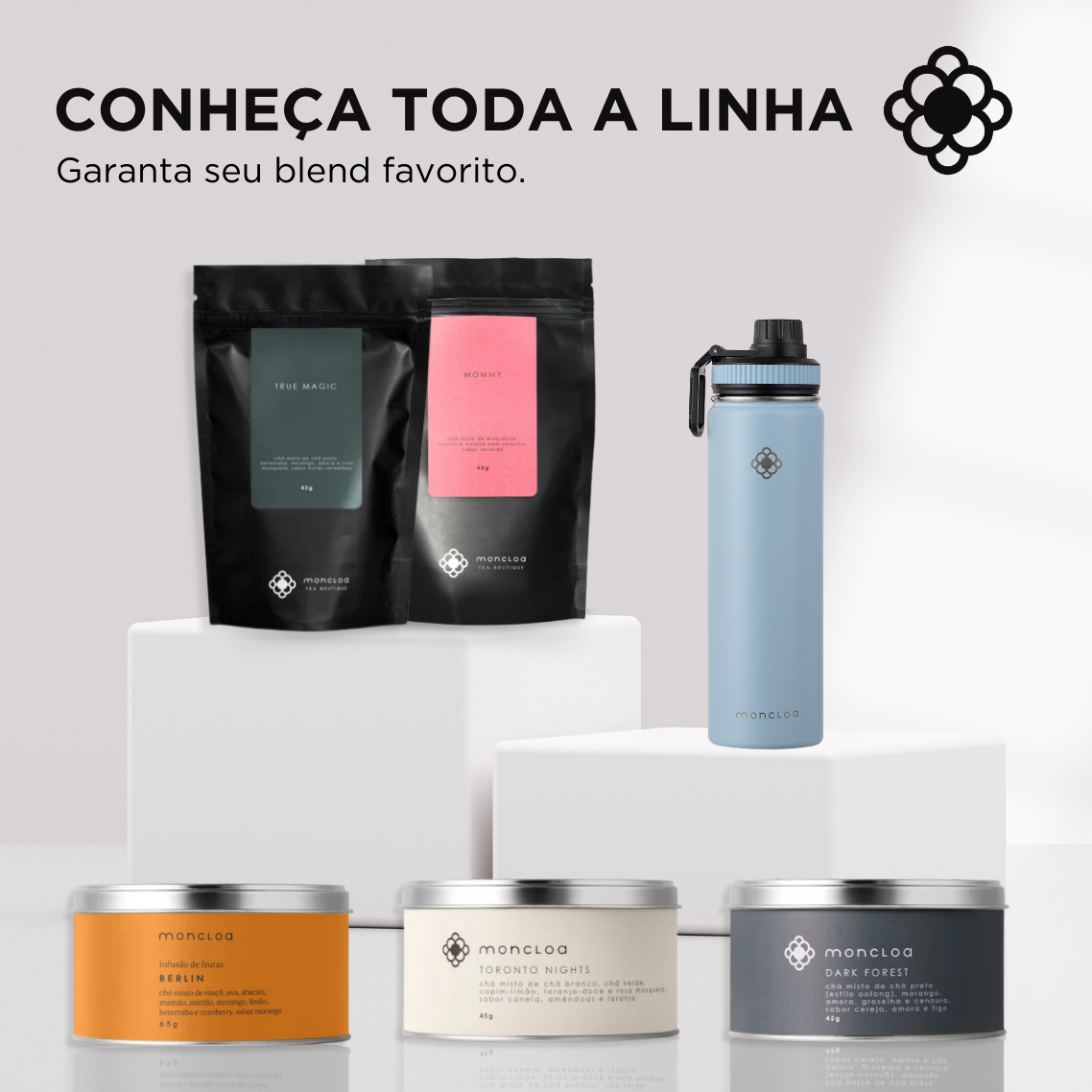 Garrafa Térmica T-Bottle Moncloa 650mL