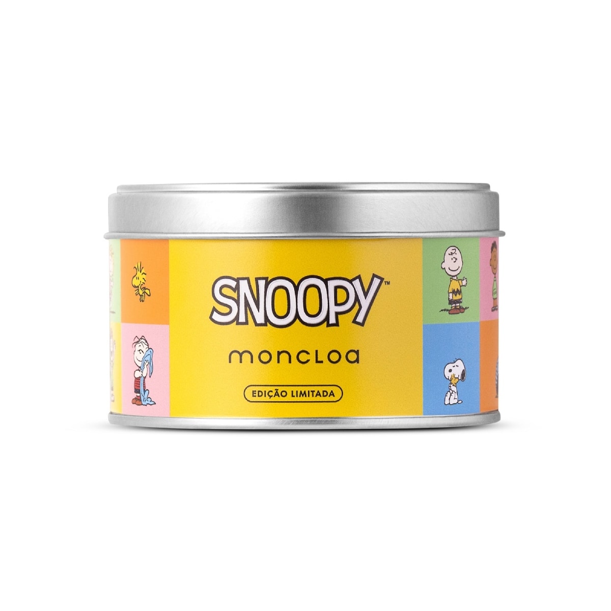 Chá Ervas Frutas e Especiarias Spice Chai Coleção Snoopy 45g
