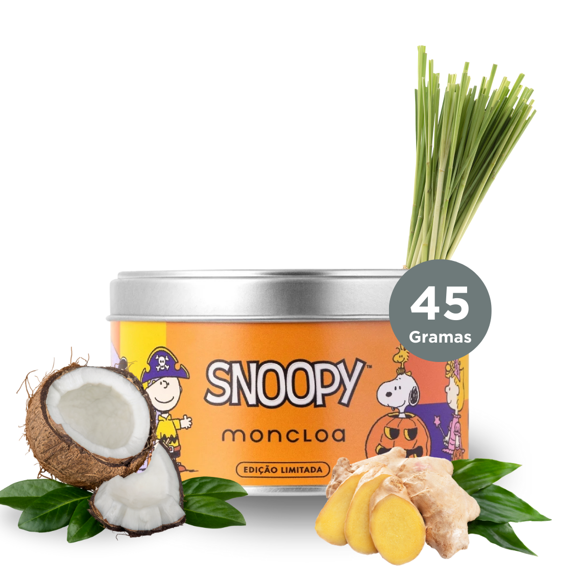 Chá de Frutas Sabor Toranja Match Fruits Coleção Snoopy 45g