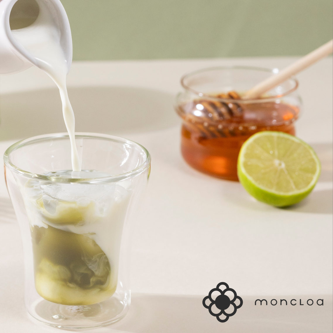 Chá Verde Ginger Lemon Moncloa Pouch 45g